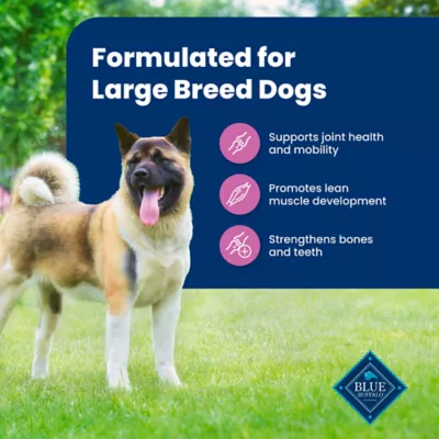 Blue Buffalo® Life Protection Formula™ Large Breed Adult Dry Dog Food - Natural, Lamb - Image 4