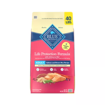 Blue Buffalo Life Protection Formula Adult Dry Dog Food - Salmon & Rice - Image 1