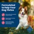 Blue Buffalo Life Protection Formula Adult Dry Dog Food - Salmon & Rice image thumbnail 4