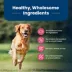 Blue Buffalo Life Protection Formula Adult Dry Dog Food - Salmon & Rice image thumbnail 6