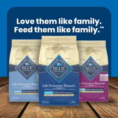 Blue Buffalo Life Protection Formula Adult Dry Dog Food - Salmon & Rice - Image 9