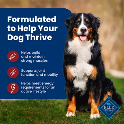 Blue Buffalo Life Protection Formula Adult Dry Dog Food - Beef & Brown Rice - Image 4