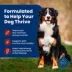 Blue Buffalo Life Protection Formula Adult Dry Dog Food - Beef & Brown Rice image thumbnail 4