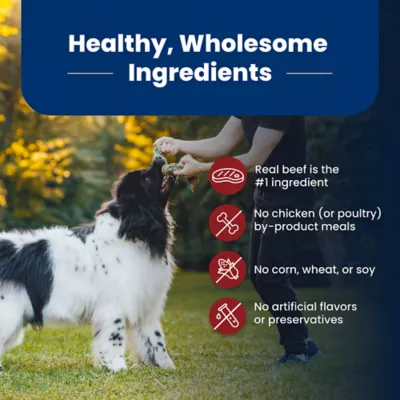 Blue Buffalo Life Protection Formula Adult Dry Dog Food - Beef & Brown Rice - Image 6