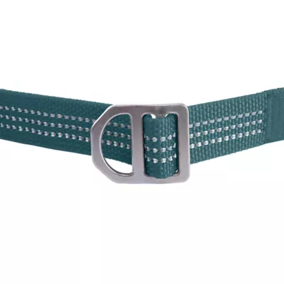 Carhartt Field Dog Leash, Reflect Details for Low Light Visable, Color Varies - Image 7