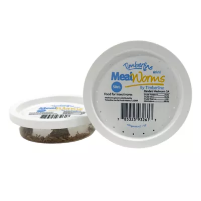 Mini Mealworms - 50 Count - Image 1