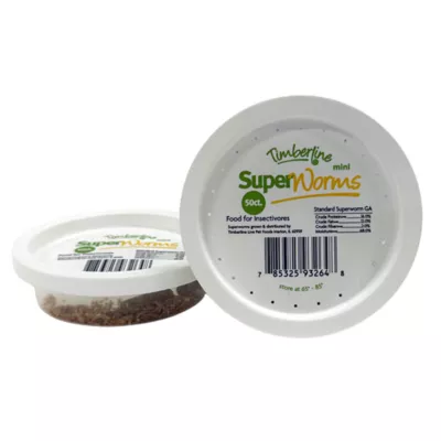 Mini Superworms - 50 Count - Image 1