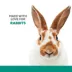 Full Cheeks® Small Pet Timothy Hay Hoops image thumbnail 2
