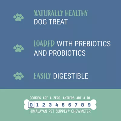 Himalayan Yogurt Sticks With Prebiotics & Probiotics Dog Chew - Grain Free, Pumpkin - Image 5