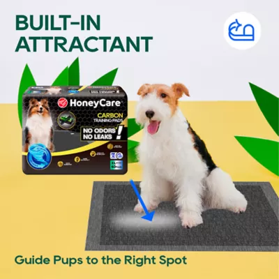 Honey Care Super Absorbant Dog Training Pads W/ Carbon Technology For Odor Elimination, XL - 40 Ct - Image 7