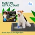 Honey Care Super Absorbant Dog Training Pads W/ Carbon Technology For Odor Elimination, XL - 40 Ct image thumbnail 7