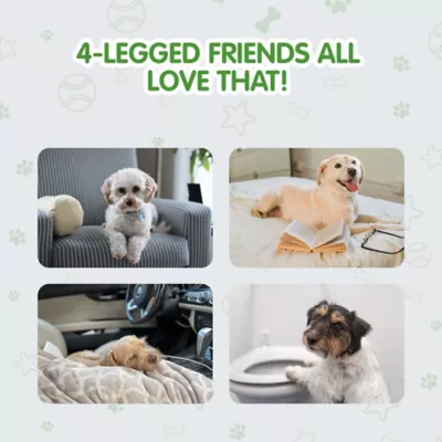 Cocoyo Best Value Training Pads, Leak Proof, Quick Drying & Puppy Attractant- 100 Ct - Image 3