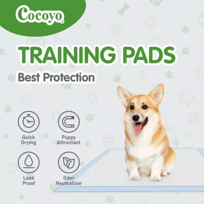Cocoyo Best Value Training Pads, Leak Proof, Quick Drying & Puppy Attractant- 100 Ct - Image 5