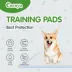 Cocoyo Best Value Training Pads, Leak Proof, Quick Drying & Puppy Attractant- 100 Ct image thumbnail 5