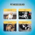 Cocoyo Best Value Training Pads, Leak Proof, Quick Drying & Puppy Attractant-  40 Ct image thumbnail 4