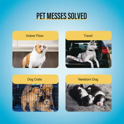 Cocoyo Best Value Training Pads, Leak Proof, Quick Drying & Puppy Attractant-  40 Ct - Image 4