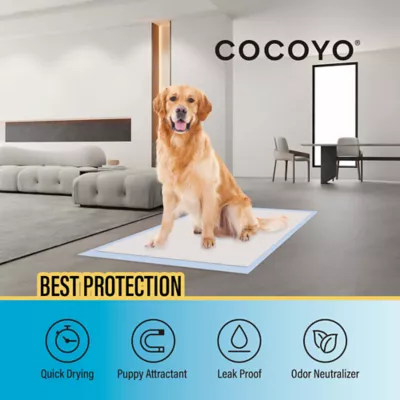 Cocoyo Best Value Training Pads, Leak Proof, Quick Drying & Puppy Attractant- 80 Ct - Image 2