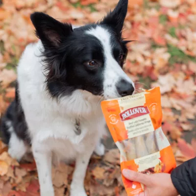 Rollover Beef with Pumpkin Stuffed California Wraps Dog Treats - Image 3