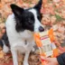 Rollover Beef with Pumpkin Stuffed California Wraps Dog Treats image thumbnail 3