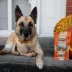 Rollover Beef with Pumpkin Stuffed California Wraps Dog Treats image thumbnail 4