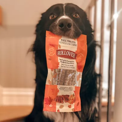 Rollover Beef with Pumpkin Stuffed Chewbies Dog Treats - Image 3