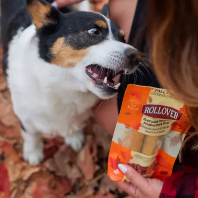 Rollover Beef with Pumpkin Stuffed Pork Rolls Dog Treats - Image 4