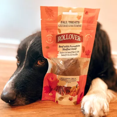 Rollover Beef with Pumpkin Stuffed Hoof Dog Treats - Image 3