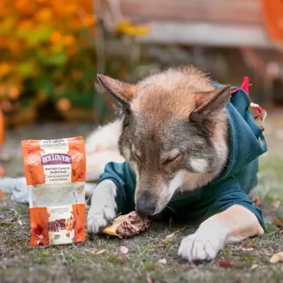 Rollover Beef with Pumpkin Stuffed Hoof Dog Treats - Image 4