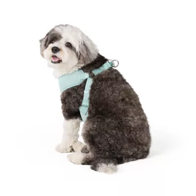 Top Paw® Mesh Dog Harness, Adjustable, Neoprene, Mesh, Color and Size Vary - Image 1
