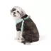 Top Paw® Mesh Dog Harness, Adjustable, Neoprene, Mesh, Color and Size Vary image thumbnail 1