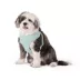Top Paw® Mesh Dog Harness, Adjustable, Neoprene, Mesh, Color and Size Vary image thumbnail 2