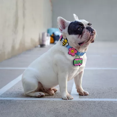 Jiby Bumblebee Dog Tag Charm - Image 6