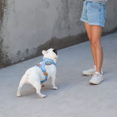 Jiby Boba Tea Dog Tag Charm - Image 8