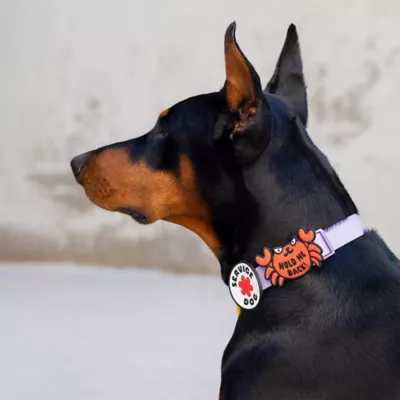 Jiby Crab Dog Tag Charm - Image 4