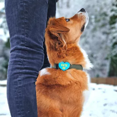 Jiby Cute Af Blue Dog Tag Charm - Image 7