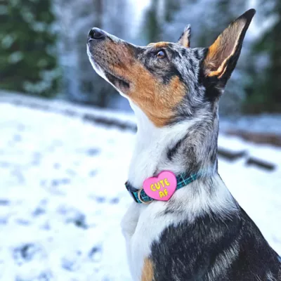 Jiby Cute Af Pink Dog Tag Charm - Image 5