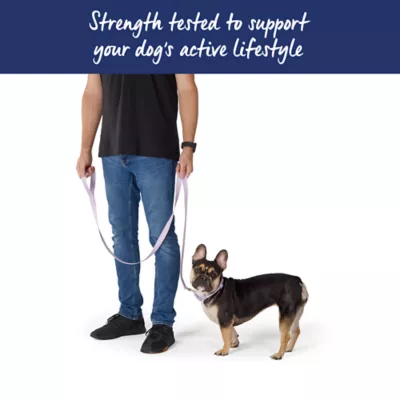 Top Paw® Standard Dog Leash, Walking Dog Leash, Multiple Sizes, 6' Long - Image 4