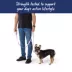 Top Paw® Standard Dog Leash, Walking Dog Leash, Multiple Sizes, 6' Long image thumbnail 4