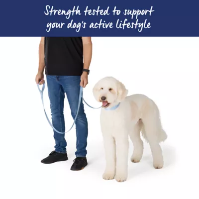 Top Paw® Standard Dog Leash, Walking Dog Leash, Multiple Sizes, 6' Long - Image 4