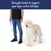 Top Paw® Standard Dog Leash, Walking Dog Leash, Multiple Sizes, 6' Long image thumbnail 4