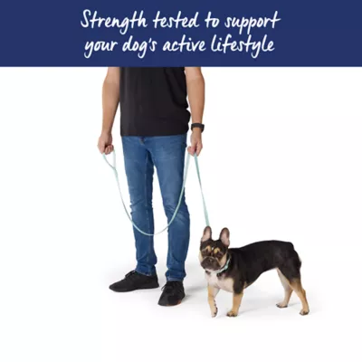 Top Paw® Standard Dog Leash, Walking Dog Leash, Multiple Sizes, 6' Long - Image 4