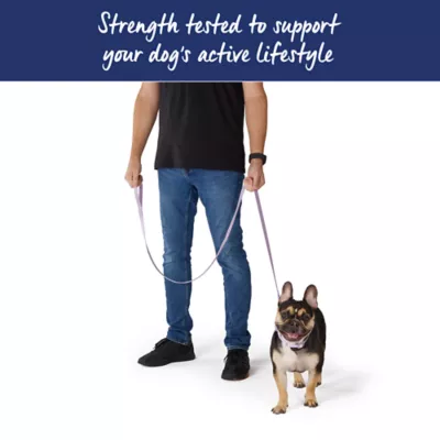 Top Paw® Standard Dog Leash, Walking Dog Leash, Multiple Sizes, 6' Long - Image 4
