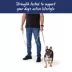 Top Paw® Standard Dog Leash, Walking Dog Leash, Multiple Sizes, 6' Long image thumbnail 4