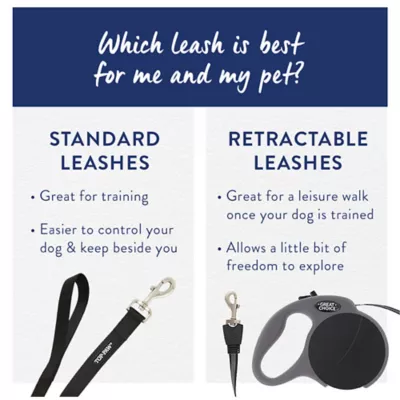 Top Paw® Standard Dog Leash, Walking Dog Leash, Multiple Sizes, 6' Long - Image 5