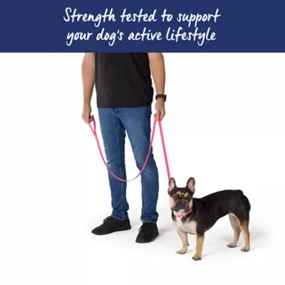 Top Paw® Standard Dog Leash, Walking Dog Leash, Multiple Sizes, 6' Long - Image 4