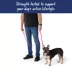 Top Paw® Standard Dog Leash, Walking Dog Leash, Multiple Sizes, 6' Long image thumbnail 4
