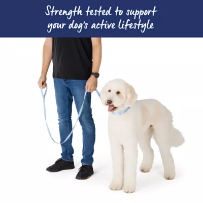 Top Paw® Standard Dog Leash, Walking Dog Leash, Multiple Sizes, 6' Long - Image 4