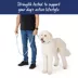 Top Paw® Standard Dog Leash, Walking Dog Leash, Multiple Sizes, 6' Long image thumbnail 4
