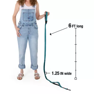 KONG® Bungee, Shock Absorbing, Hands-Free, Dog Leash, 6-ft long, Color Varies - Image 2