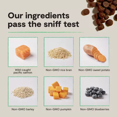 Open Farm Be Good Bites All Life Stages Dog Soft Treats - Image 5